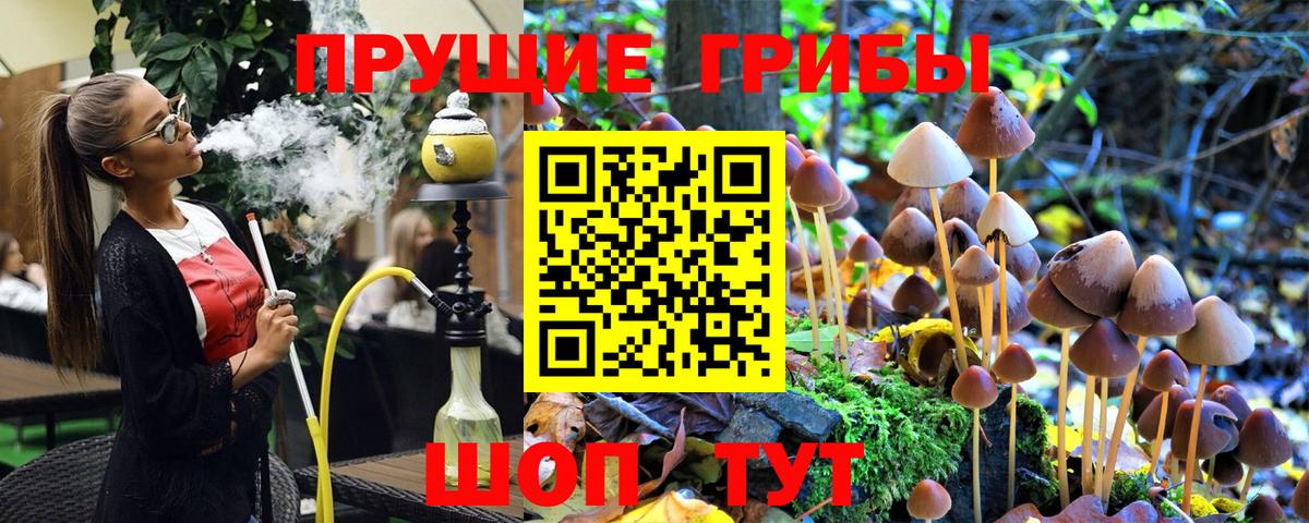 Галлюциногенные грибы MAGIC MUSHROOMS  Вход с VPN  дарнет шоп  Галлюциногенные грибы GOLDEN TEACHER  Ишим 