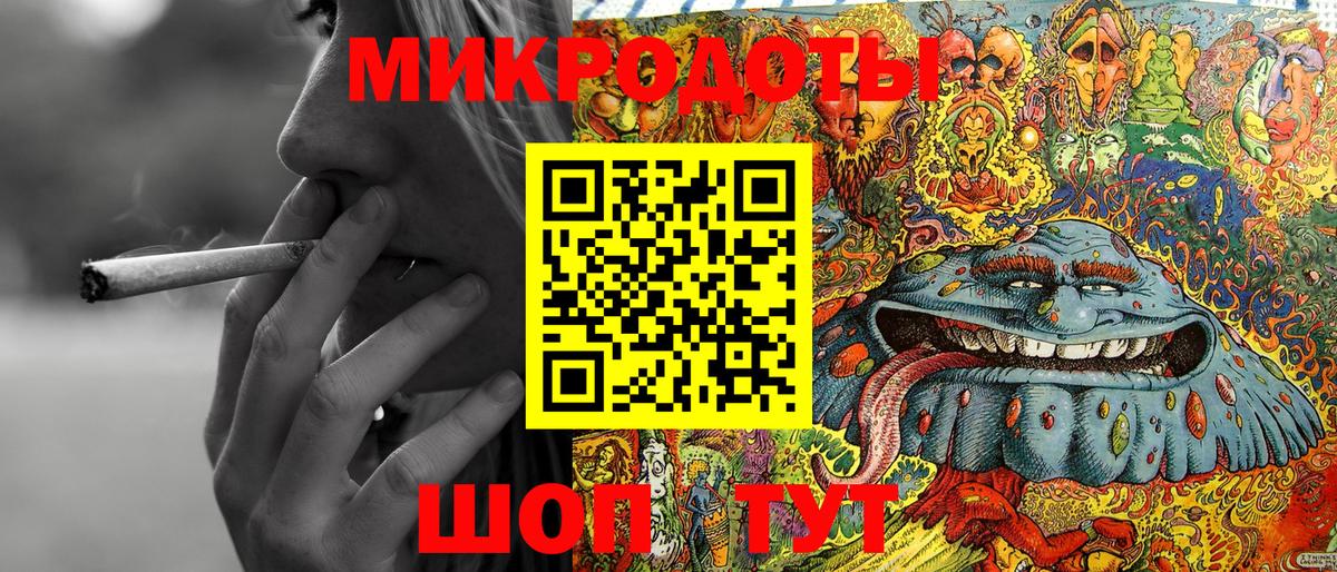 Псилоцибиновые грибы Psilocybe Ишим